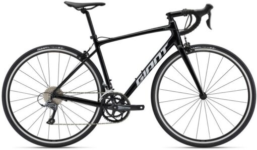 Giant Contend 2 2023 - Sort