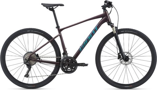 Giant Roam 0 Disc 2021