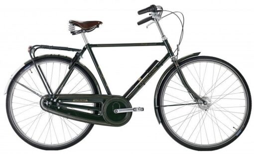 Raleigh Tourist de Luxe Herre 7g 2023 - grøn