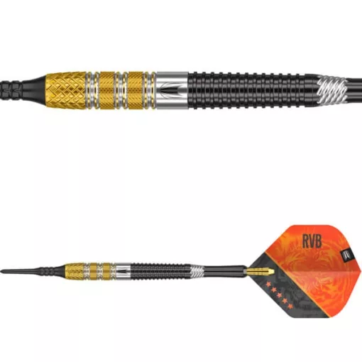 Raymond van Barneveld G4 Soft Tip 20 gram