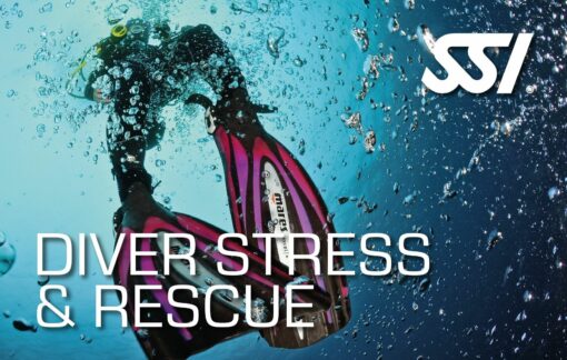 SSI Diver Stress and Rescue Kursus ( privat undervisning )