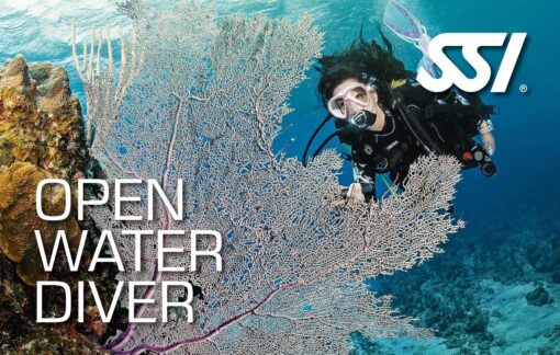 SSI Open Water Diver - Begynderkursus -3 dages weekend kursus