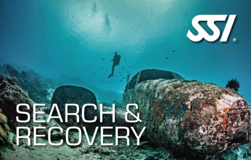 SSI Search and Recovery - Søg og gendannelse ( privat undervisning )