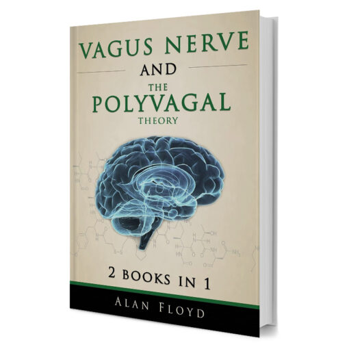 Vagus Nerve & The Polyvagal Theory